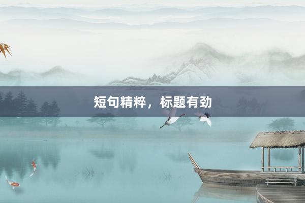 短句精粹，标题有劲
