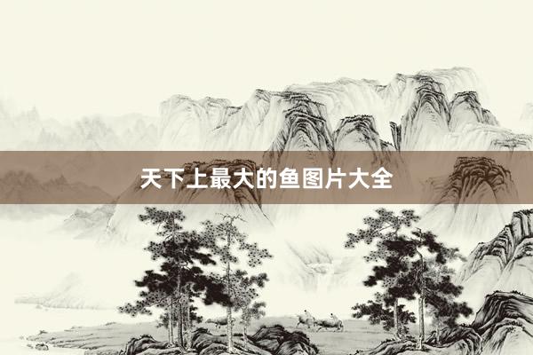 天下上最大的鱼图片大全
