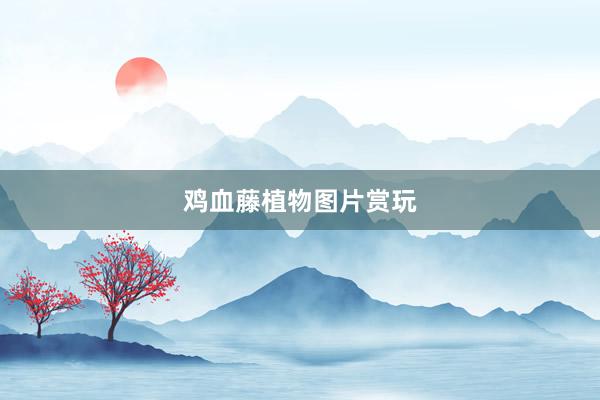 鸡血藤植物图片赏玩